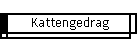 Kattengedrag