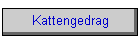 Kattengedrag