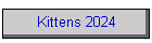 Kittens 2023