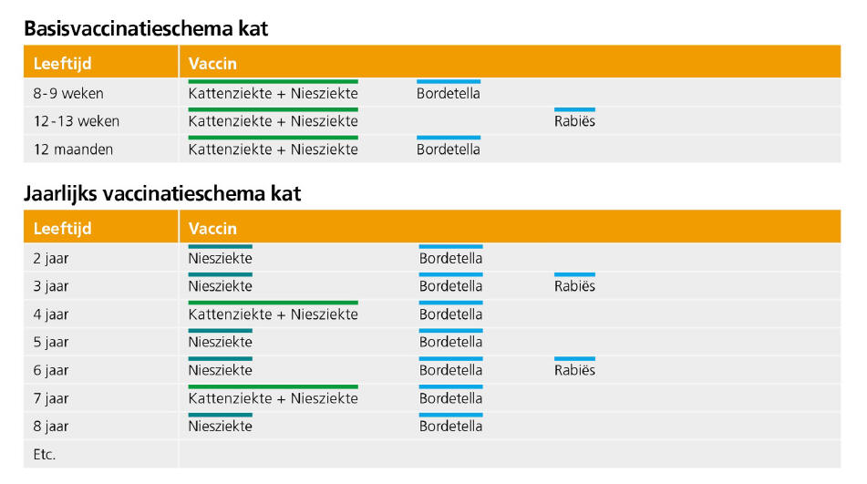 https://www.my-msd-animal-health.nl/media/218562/nobivac-vaccinatieschema-kat.jpg