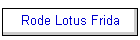 Rode Lotus Frida