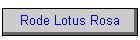 Rode Lotus Rosa